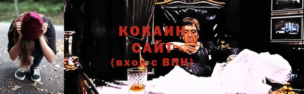 дживик Елабуга