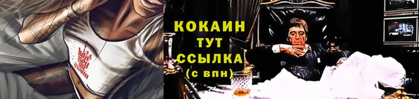 дживик Елабуга