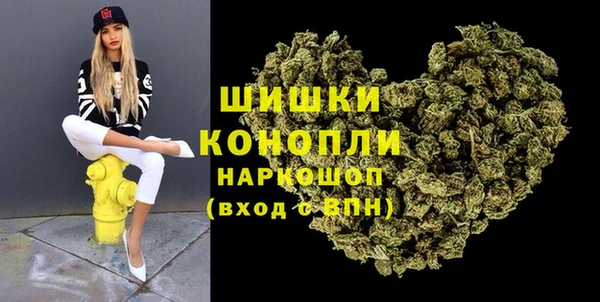 дживик Елабуга