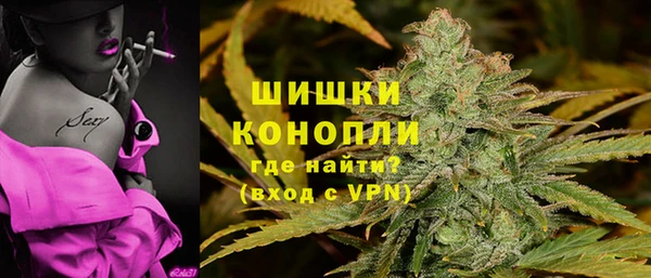 дживик Елабуга