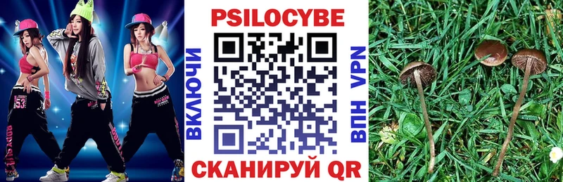 Галлюциногенные грибы мицелий  Купить где  Уржум 
